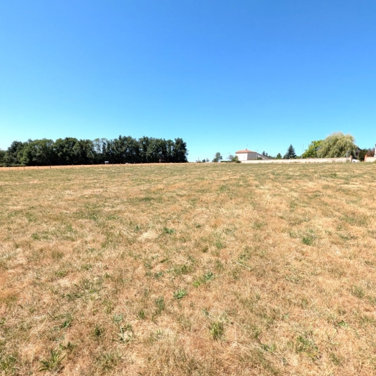 Annonces AMPLEPUIS : Terrain | PRADINES (42630) | m2 | 75 000 € 