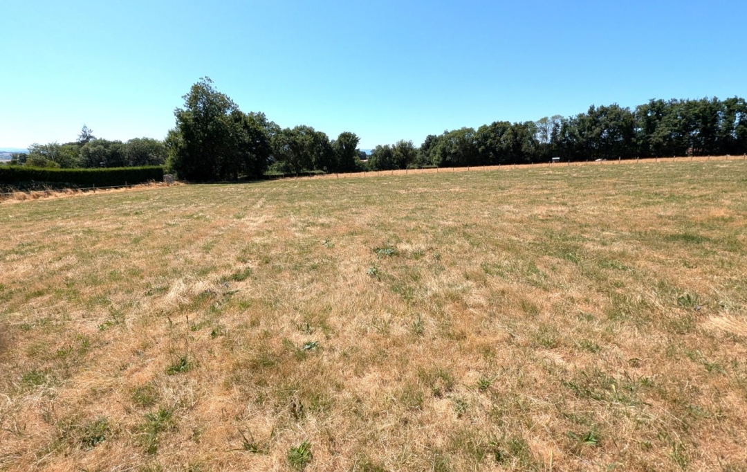 Annonces AMPLEPUIS : Terrain | PRADINES (42630) | 0 m2 | 75 000 &euro; 