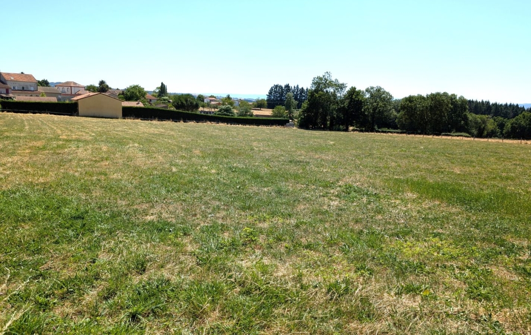 Annonces AMPLEPUIS : Terrain | PRADINES (42630) | 0 m2 | 75 000 &euro; 