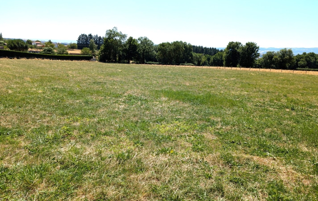 Annonces AMPLEPUIS : Terrain | PRADINES (42630) | 0 m2 | 75 000 &euro; 